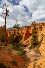 Bryce Canyon National Park hoodoos