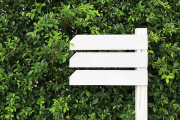 White empty wooden signboard in the garden with blank area for text.