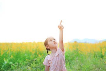 Naklejka na ściany i meble Adorable little Asian kid girl feeling free with pointing up in Sunhemp field. Yellow flowers background.