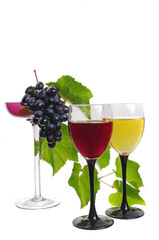 Two glasses of red and white wine and a bunch of grapes in a vase. Isolated on white