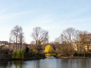 Lake in park