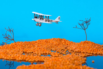 Landscape with islands in the sea and a model of an old plane. Installation of grains of lentils, branches of plants