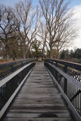 Fototapeta premium Bridge