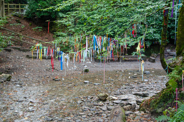 Fototapeta na wymiar Clootie Tree at St Nectans Glenn near Tintagel in north Cornwall. Clootie Wells are places of pilgrimage in Celtic areas. Strips of cloth or rags are usually tied to a branch as part of a ritual.