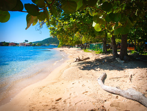 Beautiful Beach In Roatan