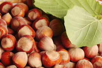 Hazelnut with walnut leaves on a wooden table. Close-up