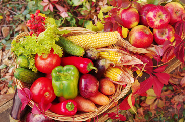 Vegetables in a basket. Cabbage, cauliflower, cucumbers, tomatoes, peppers, corn, onions, carrots.