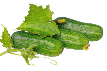 Cucumbers with leaves and flowers on a white background