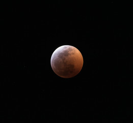 The Super Blood Wolf Moon Eclipse of 2019