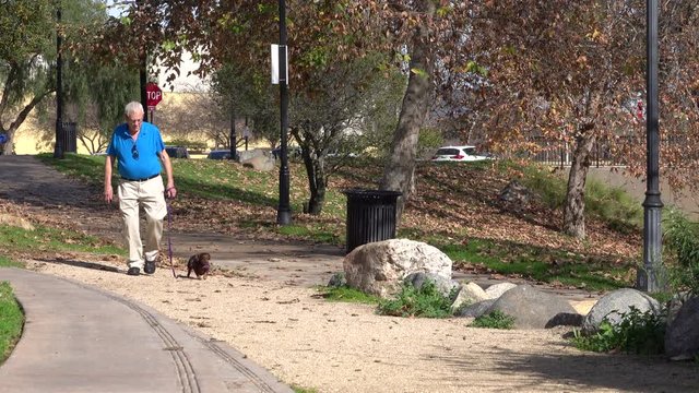 Senior man walking his dog in the park
