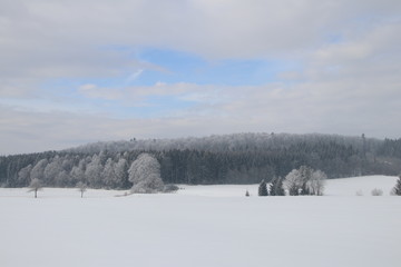 Jahreszeiten