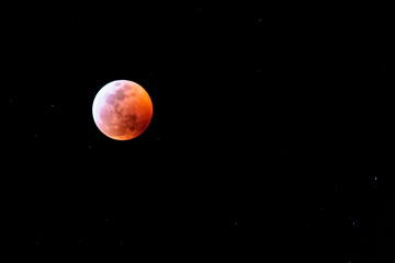 Wolf blood moon 