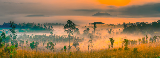 Fototapeta na wymiar Thung Salaeng Luang national park of Thailand, mountain view with sea of fog and forest.