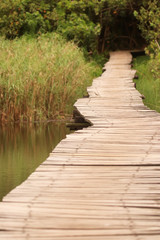 Wooden walkway across a lagoon