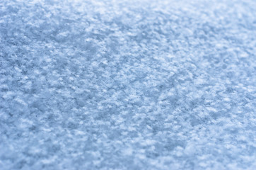 Fresh Snow Texture Background, Natural Snowflakes Pattern with Copy Space. Blue Tone Coloring. Winter Season, Weather Forecast, Climate Change, Greeting Card Image.