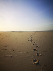 Walking barefoot on the beach before sunset