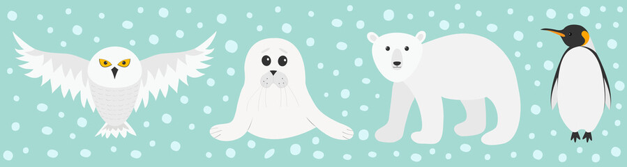 White bear, owl, king penguin Emperor Aptenodytes Patagonicus, Seal pup baby harp. Arctic polar animal set. Kids education cards. Flat design. Winter antarctica blue snow background.