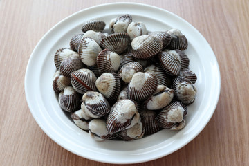 A cockle in a white dish.