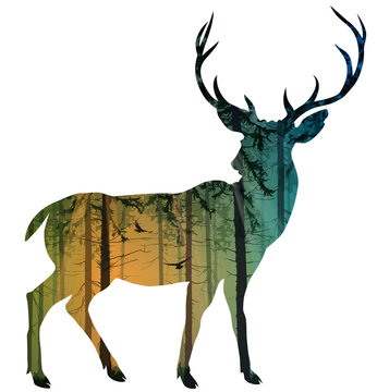 Silhouette of an elegant deer. Inside is a pine forest with flying birds. Isolated object, vector illustration.