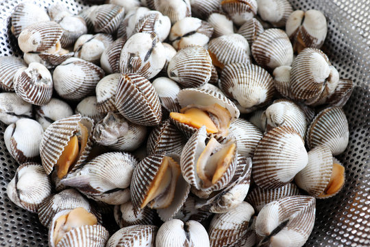Close-up images of cooked shellfish.