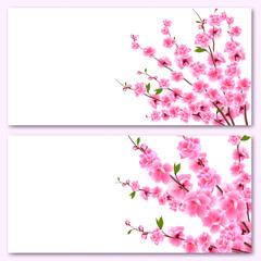 Sakura - two cards. Decorative flowers of cherry with buds on the branches, a bouquet. Can be used for invitations, banners, posters. illustration
