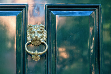 The Lion on the Door