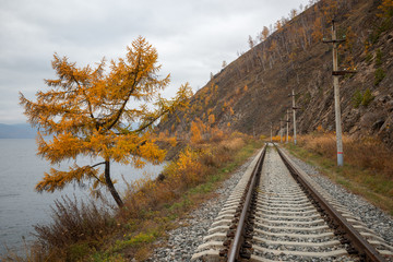 Fototapeta premium Autumn on Circum-Baikal Railway