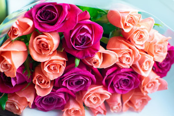 Background of peach and crimson roses. Beautiful coral roses, flowers bouquet close up. Bouquet of crimson and peach roses.