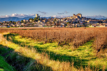 Vineyards in the Languedoc region of France near the village of Puissalicon