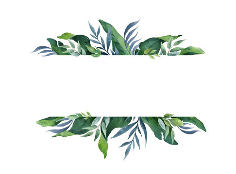Watercolor vector green banner tropical leaves and branches isolated on white background.