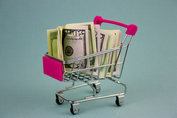 shopping cart with dollars