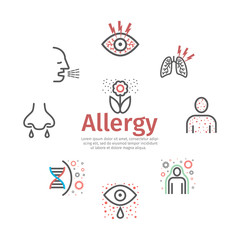 Allergy banner, symptoms line icons infographic. Vector sign for web graphic.