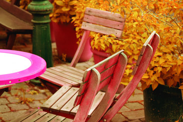 red wooden chairs with table in the garden with orange plants
