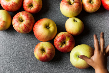 Small child's hand reaching for royal gala apple. 