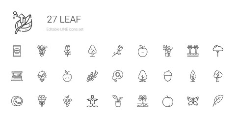leaf icons set