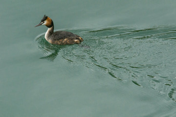 parco nazionale d'Abruzzo
