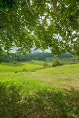 parco nazionale d'Abruzzo