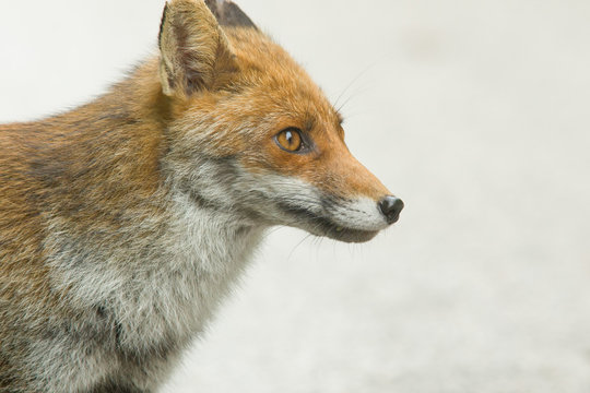 parco nazionale d'Abruzzo