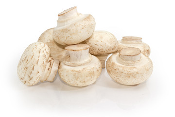 Fresh cultivated button mushrooms on a white background