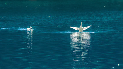 parco nazionale d'Abruzzo