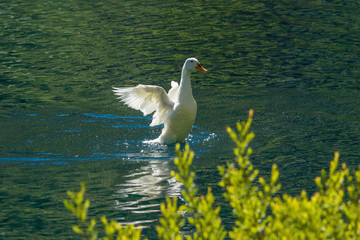parco nazionale d'Abruzzo