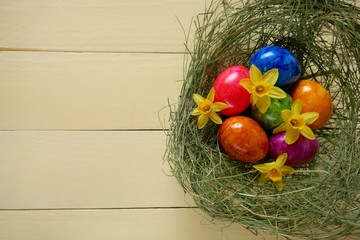 Easter food.multicolored Easter Eggs and yellow daffodil flowers in a hay nest on a yellow wooden board background