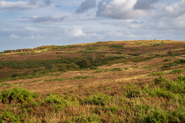 Fototapeta premium Exmoor landscape on Porlock Hill in Somerset, England, UK