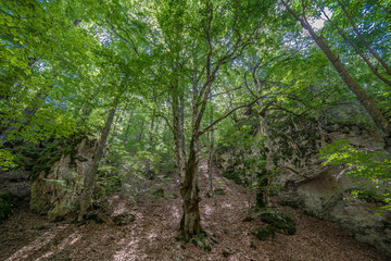 parco nazionale d'Abruzzo