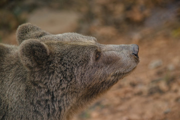 parco nazionale d'Abruzzo