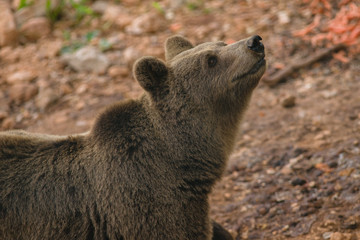 parco nazionale d'Abruzzo