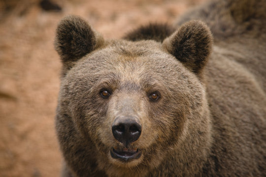 parco nazionale d'Abruzzo