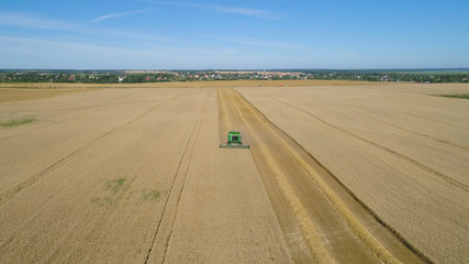 Fototapeta na wymiar Combine harvester at work harvesting field wheat. Aerial view Combine harvester mows ripe spikelets, barley, rye. Combine harvester harvest ripe wheat on a farm.