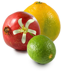 isolated image of fruit close up