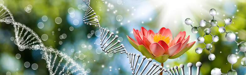 lotus flower on dna chain background